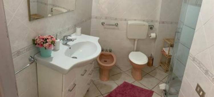 Butterfly House图片