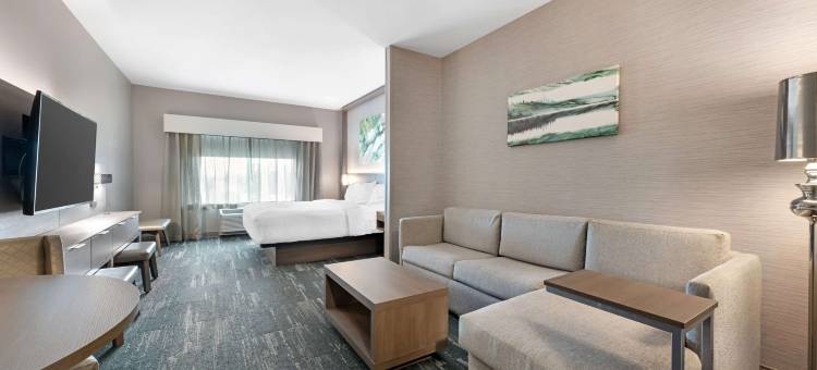 明尼苏达大急流城贝斯特韦斯特优质酒店(Best Western Plus Grand Rapids MN)图片