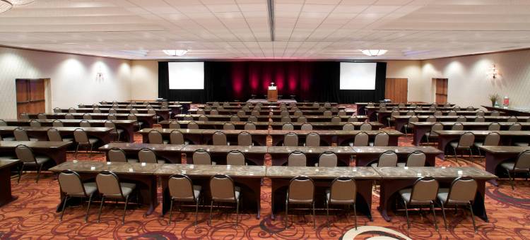 明尼阿波利斯西喜来登酒店(Sheraton Minneapolis West Hotel)图片