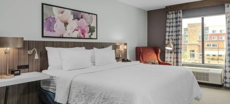 底特律尤蒂卡希尔顿花园旅馆(Hilton Garden Inn Detroit Utica)图片