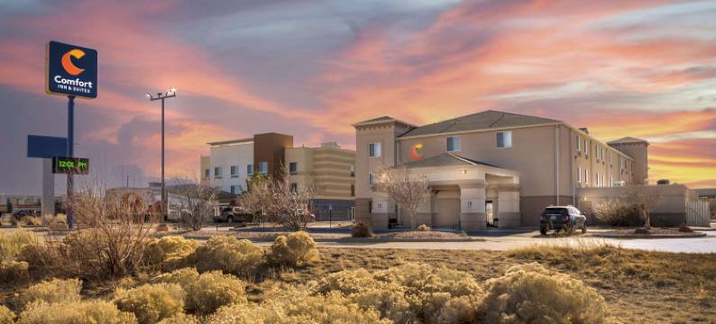 罗林斯舒适酒店(Comfort Inn & Suites)图片