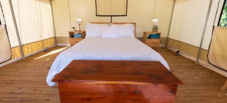 Cozy Forest Retreat Snug Glamping by the Fire Pit图片