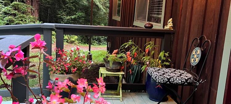 Peaceful, private 3BD home nestled in the redwoods图片
