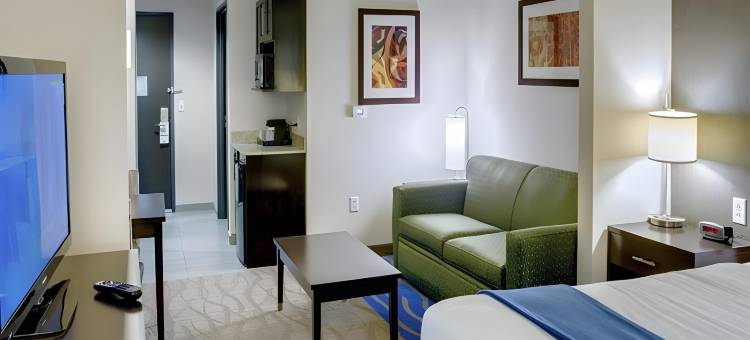 智选假日套房酒店堪萨斯城(Holiday Inn Express & Suites Kansas City KU Medical Center)图片