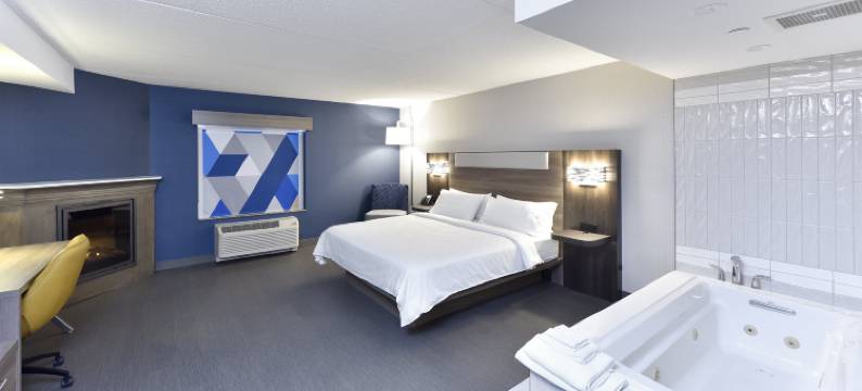 智选假日套房酒店滑铁卢东南亚(Holiday Inn Express & Suites WATERLOO - ST. JACOBS AREA by IHG)图片