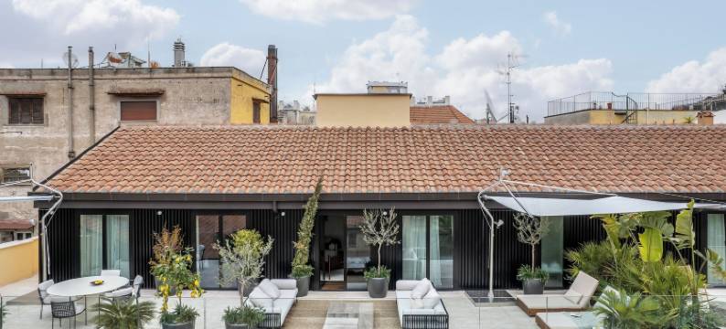 特雷维主人(master Trevi)图片