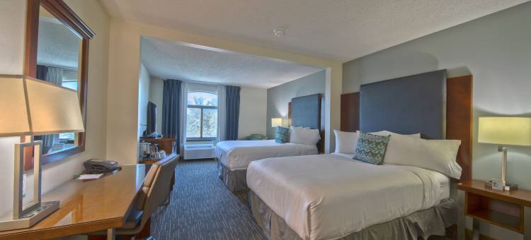 Wingate by Wyndham Round Rock Hotel & Conference Center图片