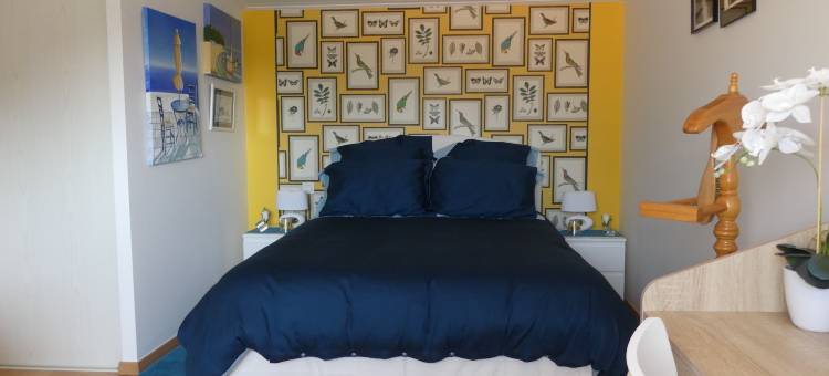 布朗切皮耶雷民宿(Chambre d'hôte Blanche Pierre B&B)图片