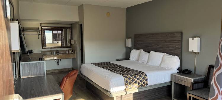 蓝星汽车旅馆(Blue Star Motel)图片