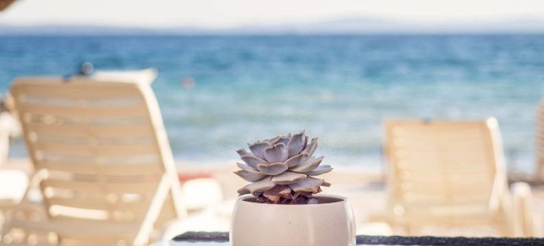 麦迪特兰海滨别墅(Luxury Rooms Beach Mediteran)图片