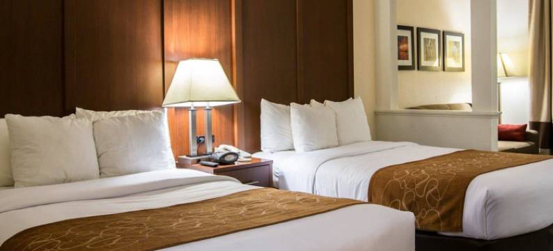卡明舒适套房酒店 - 亚特兰大近福赛思北区医院(Comfort Suites Cumming-Atlanta Near Northside Hospital Forsyth)图片