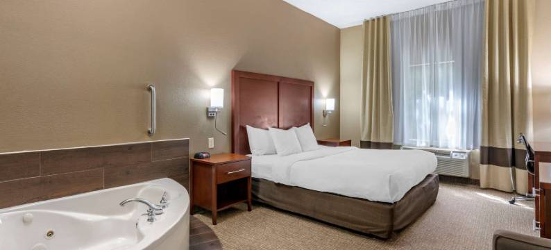 圣路易斯奥法伦舒适套房酒店(Comfort Inn & Suites St Louis-O'Fallon)图片