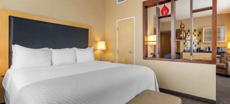 丹佛国际机场坎布里亚酒店(Cambria Hotel Denver International Airport)图片