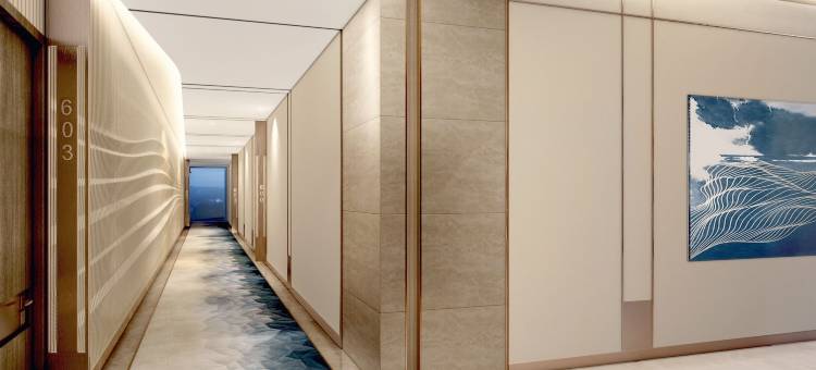 Avani+迪拜棕榈景观酒店及套房(Avani+ Palm View Dubai Hotel & Suites)图片