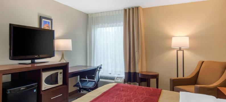 里士满南切斯特舒适酒店(Comfort Inn Chester - Richmond South)图片