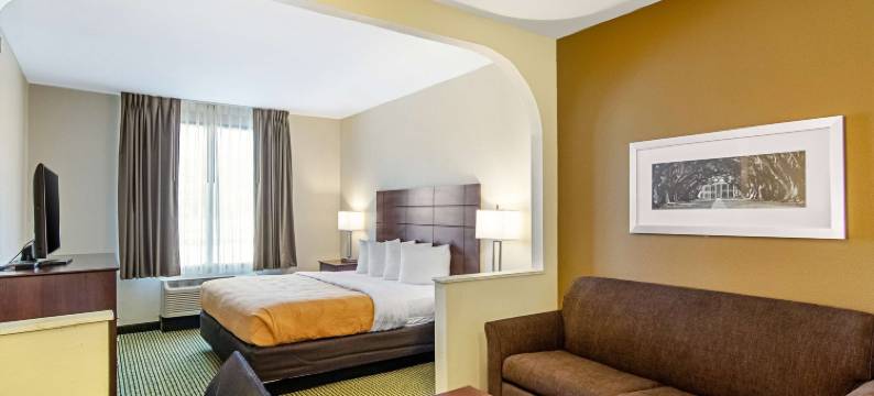 凯艺套房酒店-近丹吉尔奥特莱特购物中心(Quality Inn & Suites Near Tanger Outlet Mall)图片