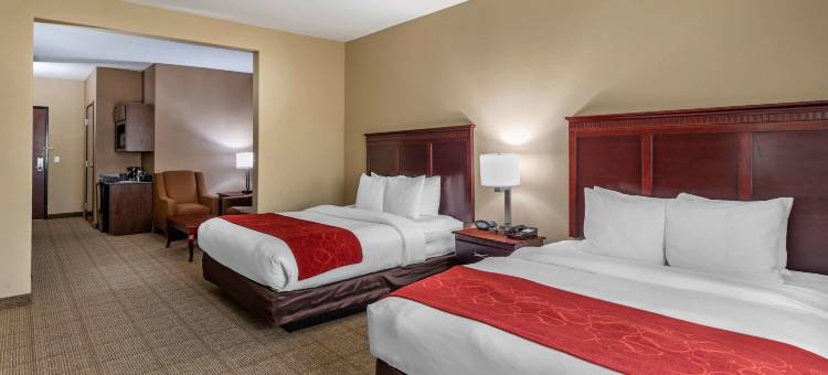 舒适套房酒店(Comfort Suites)图片