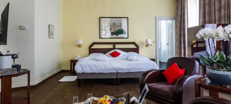 杜帕尔克米卢斯中心酒店(Hotel du Parc - Mulhouse Centre)图片