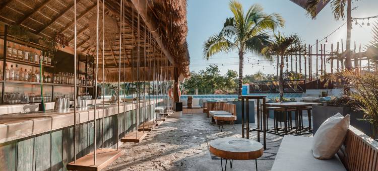 Mayan Monkey 图兰| 社交酒店(Mayan Monkey Tulum - Social Hotel)图片