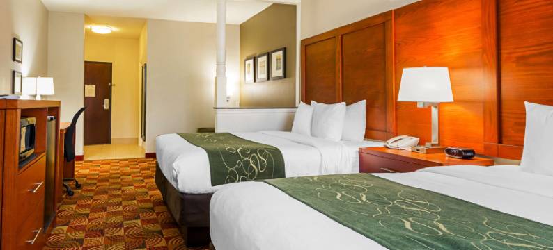 查尔斯湖舒适套房酒店(Comfort Suites Lake Charles)图片