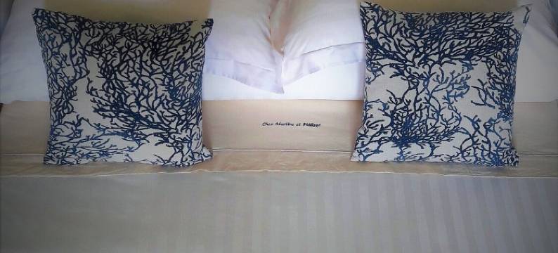 马丁和菲利普酒店(Chez Martine et Philippe en Velay)图片