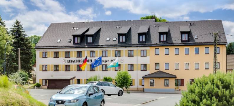 弗列柏格霍赫恩泽格比格斯酒店(Erzgebirgshotel Freiberger Höhe)图片