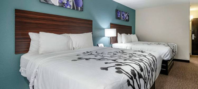 杰克逊维尔机场舒眠酒店(Sleep Inn Jacksonville Airport)图片
