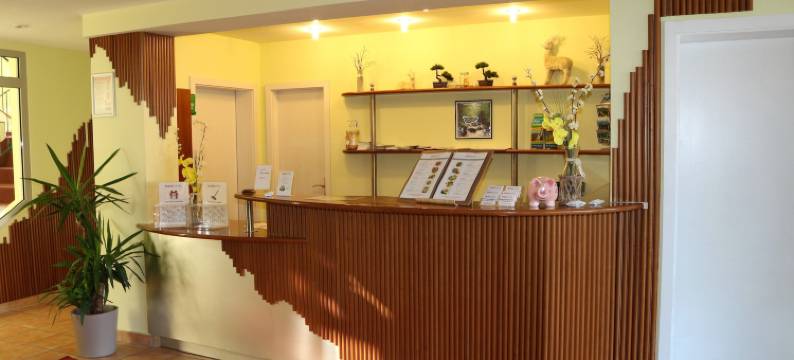 布罗肯地区酒店(Regiohotel am Brocken Schierke)图片