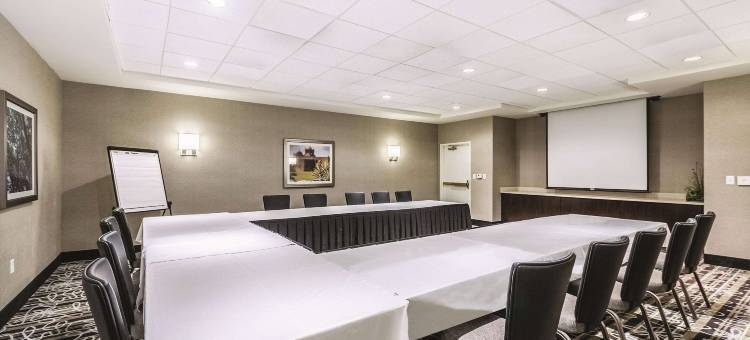 圣安东尼奥市区拉昆塔温德姆套房酒店(La Quinta Inn & Suites by Wyndham San Antonio Downtown)图片