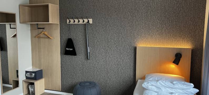 Frich's快捷酒店(Frich´s Express Hotel)图片