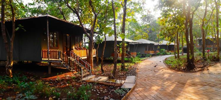 Govardhan生态村(Govardhan Eco Village)图片