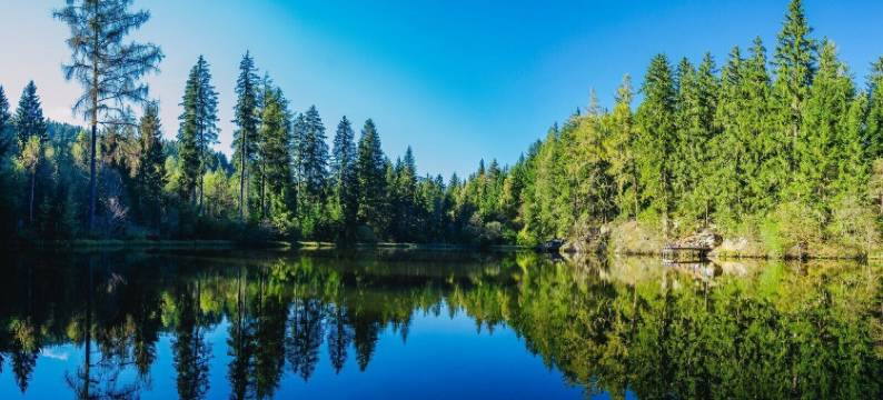 mg4 公寓(mg4 Apartments)图片