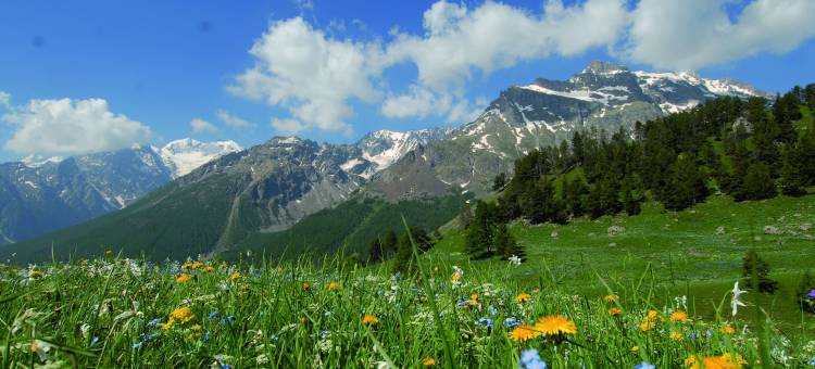拉萨尔莱阿尔佩蓝色俱乐部度假酒店(Club Vacances Bleues les Alpes d'Azur)图片