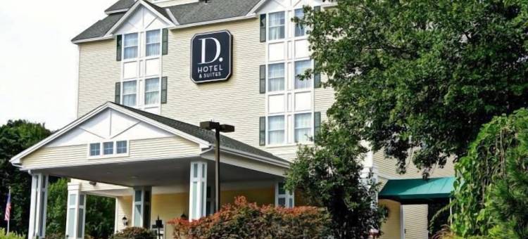 D套房酒店(D. Hotel Suites & Spa)图片