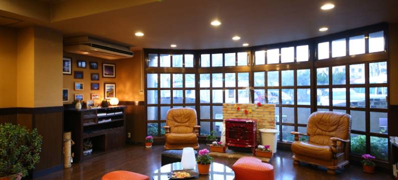 卡瓦吉池克公园酒店(Kawaguchiko Park Hotel)图片