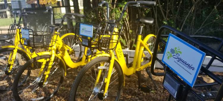 Squania套房集装箱&单间公寓(Squania Suite Container & Monoambientes)图片