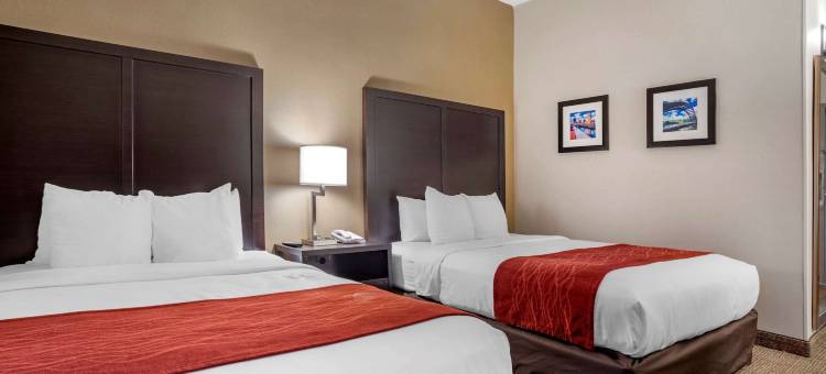 舒适酒店(Comfort Inn)图片