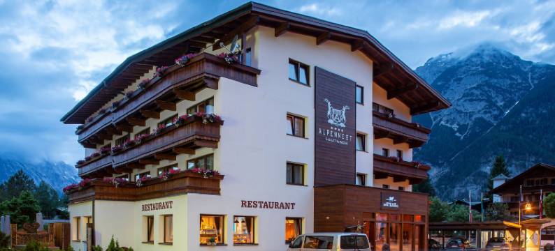 高山巢穴酒店(Hotel Alpennest)图片