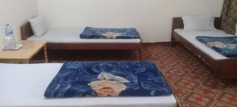 贝娜齐尔酒店卡拉什(Benazir Hotel Kalash)图片