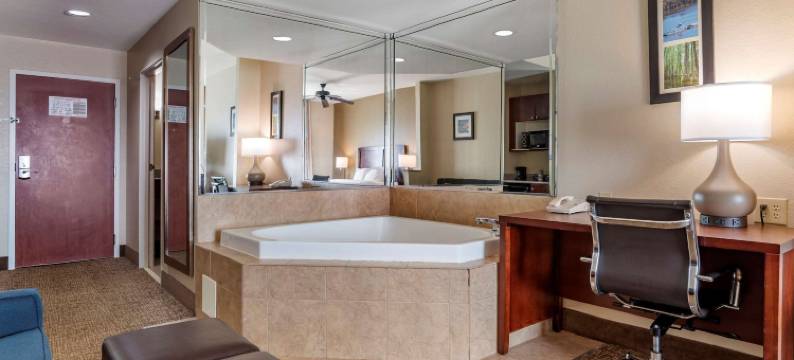 舒适酒店及套房(Comfort Inn & Suites)图片