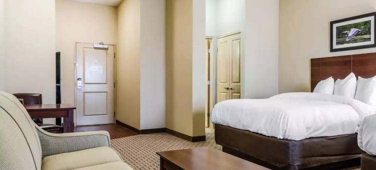 美茵斯坦套房酒店哈克伯里运动员小屋(MainStay Suites Hackberry Sportsman's Lodge)图片