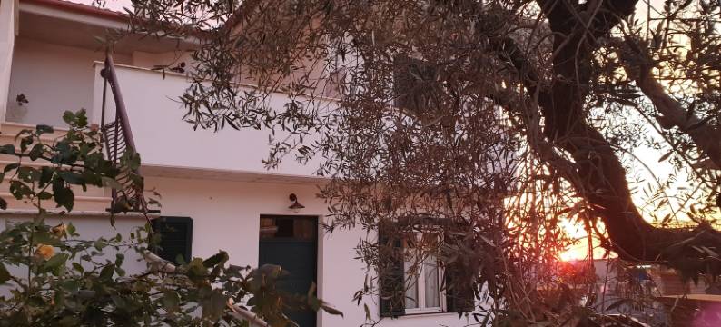 老鹰和橄榄树民宿(B&B Il Falco e l'Ulivo)图片