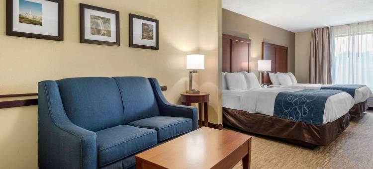 代顿赖特帕特森舒适酒店(Comfort Suites Dayton-Wright Patterson)图片