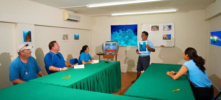 科苏梅尔海滨酒店&潜水度假酒店(Casa del Mar Cozumel Hotel & Dive Resort)图片