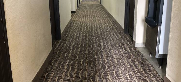 沃纳梅克I-70凯艺酒店(Quality Inn I-70 at Wanamaker)图片