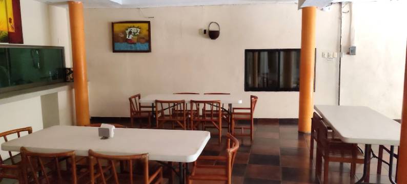 阿什利酒店(Hotel Ashly)图片