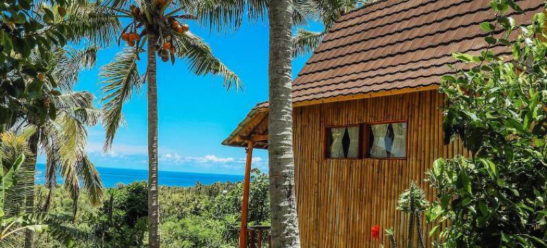 艾杜森林小屋旅馆(Atuh Forest Cottage)图片