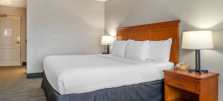 托莱多南丽怡酒店(Country Inn & Suites by Radisson, Rossford - Toledo South)图片