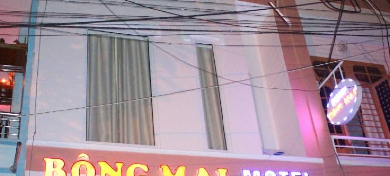 奉麦汽车旅馆(Bong Mai Motel)图片