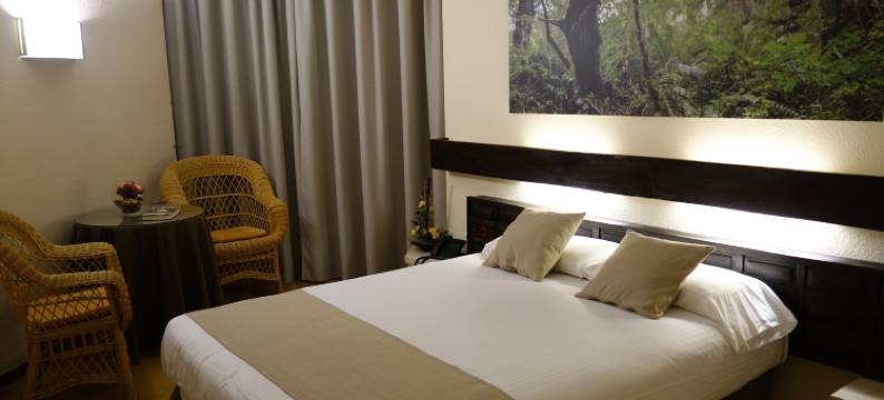 巴兹坦酒店(Hotel Baztan)图片